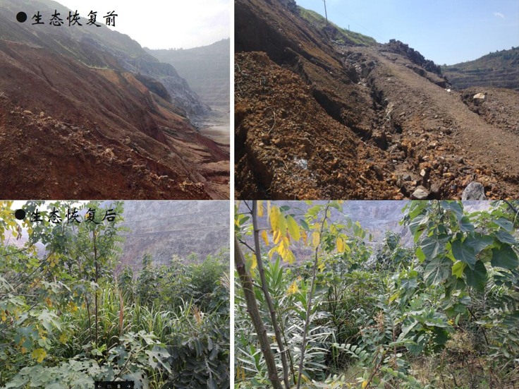 赢咖娱乐(中国)官方网站