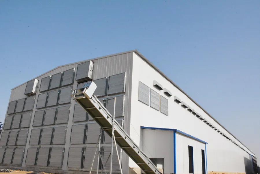 夏日高温需注重丨意昂F凯捷牧业心相系