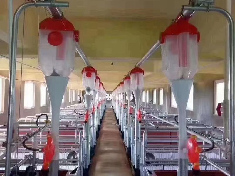 蛋鸡饲养装备厂家剖析蛋鸡饮水注重事项