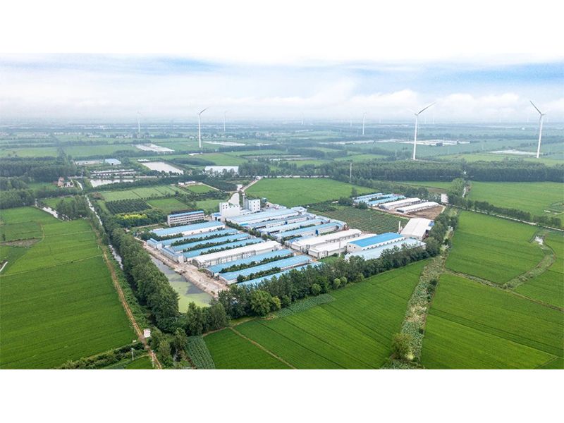 2023年中央一号文件出炉，畜禽工业应捉住哪些新机缘？？？