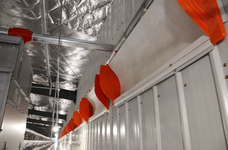 为什么全自动化养鸡装备云云盛行？？？