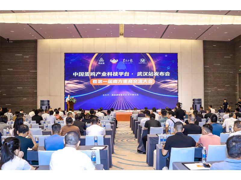 热烈：氐谝唤炷戏降吧探涣鞔蠡崛〉迷猜殖！！！