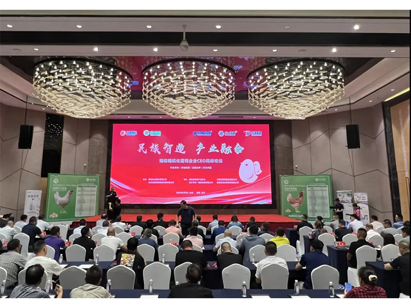 热烈：：睾南规；凹ζ笠礐EO岑岭论坛取得圆满乐成！！