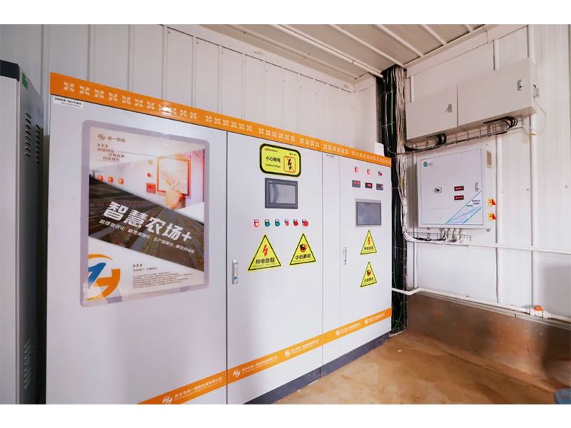 情形多变，，，春季养鸡怎样透风？