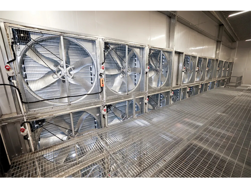 春夏气温骤升之际，，，鸡舍应该接纳哪些应对步伐？