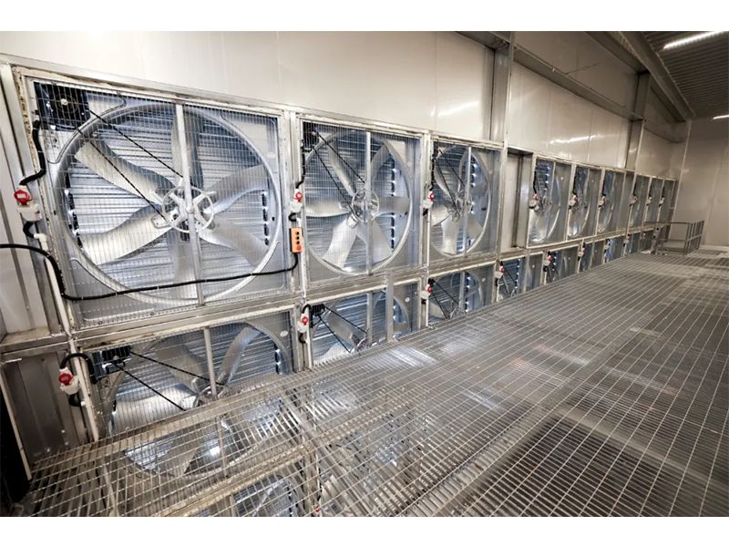 春夏气温骤升之际，，，鸡舍应该接纳哪些应对步伐？