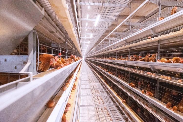 夏日来临，使用水帘时需要注重哪些事项？？？