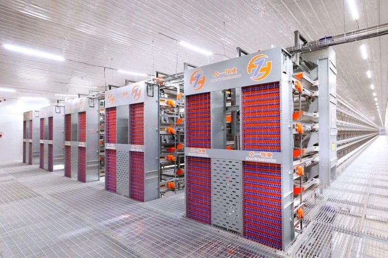 [转载]引进龙头企业 打造畜牧养殖新手刺|意昂F凯捷牧业承建的百万蛋鸡智慧养殖项目被河南日报报道