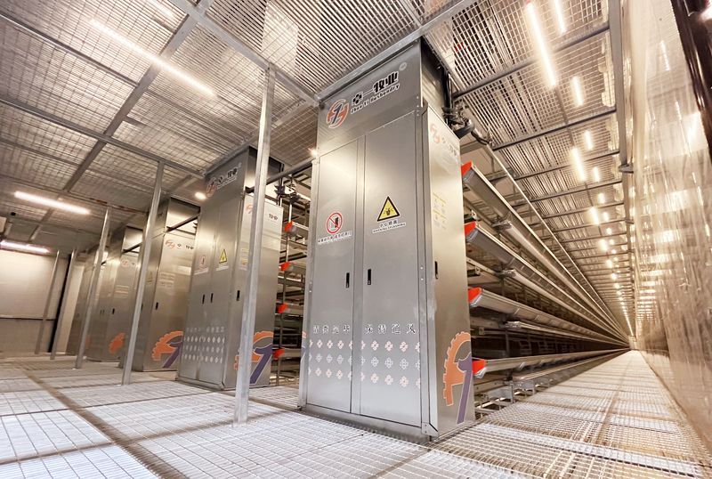 蛋鸡硬件装备图