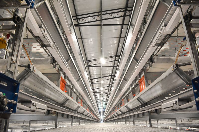 本交笼硬件装备图