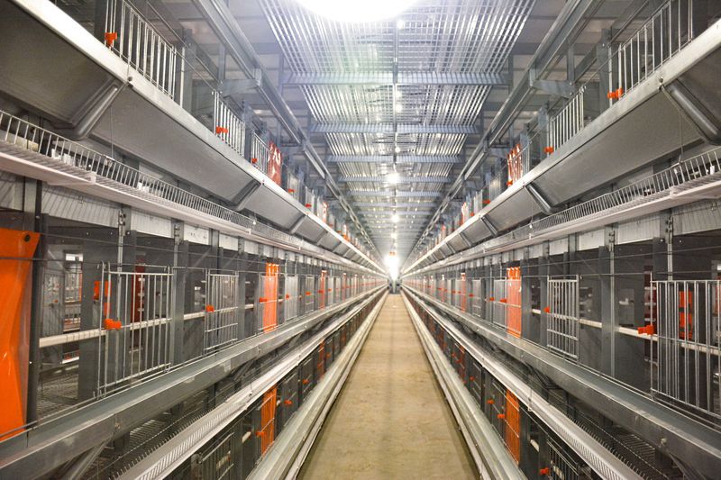 本交笼硬件装备图