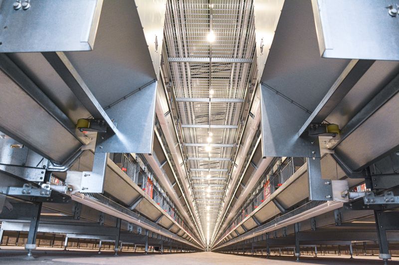 超高层叠养鸡装备：：：养鸡业的新选择