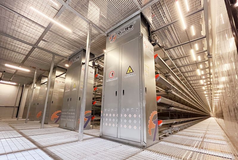 自动化养鸡装备推动养鸡业向智能化迈进