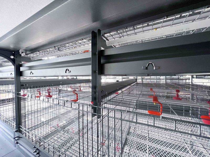 《全自动化养鸡装备助力养殖业高效开展》